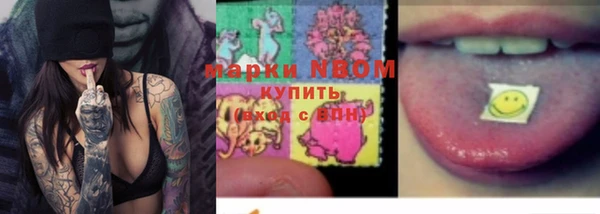 гидропоника Елабуга