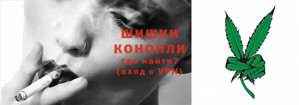 гидропоника Елабуга