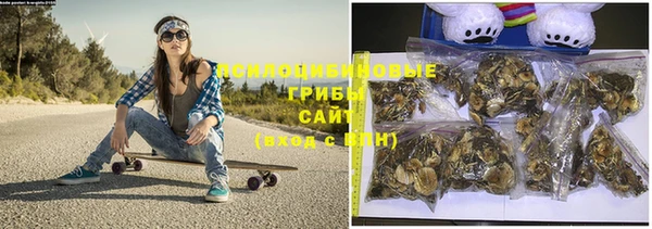 mdma Заводоуковск