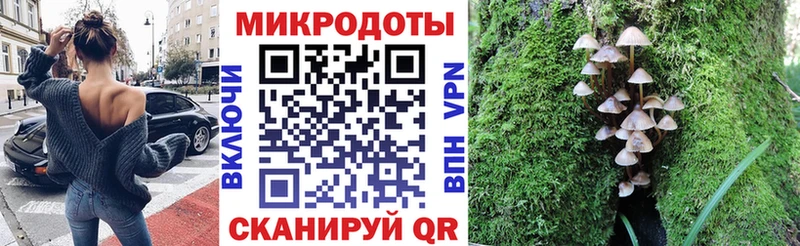 Купить где  Покров  Псилоцибиновые грибы мухоморы 